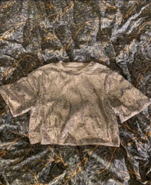 Paljett magtröja - En populär silver paljett t-shirt från HM