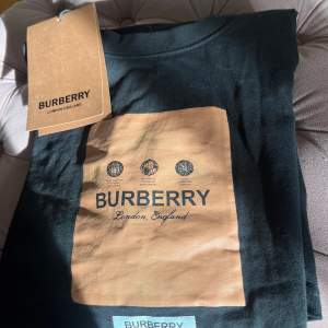 Hej säljer nu en fantastisk burberry t-shirt till sommare💫 str s men over size (passar M)⚠️ mitt pris 279