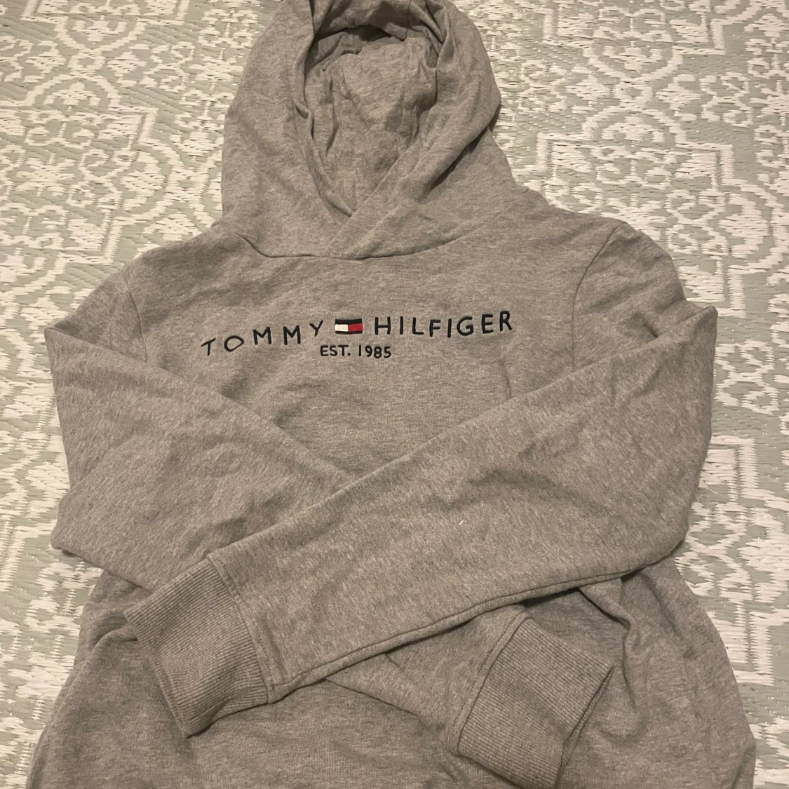 Tommy hilfiger hoodie