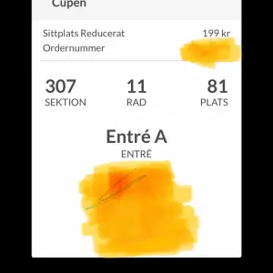 Säljer den här dif aik biljetten för 199kr. Får biljetten direkt efter swish!