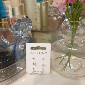 Örhängen  - I nyskick, nypris var 99kr