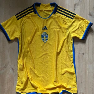 Sverigetröja  - Sverigetröja storlek Large, väldigt lätt använd med inga tecken på slitage. Nypris 1000kr. 