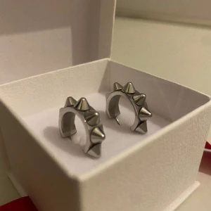 Edblad örhängen - silver  - Fick dessa fina örhängen i julklapp men har aldrig använt de, då jag bara använder guld smycken.