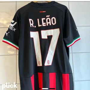  ac milan tröja - En tröja me den flärda leão på ryggen. Bra skick och har ej använt den