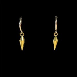 Spike örhängen  - Paxad