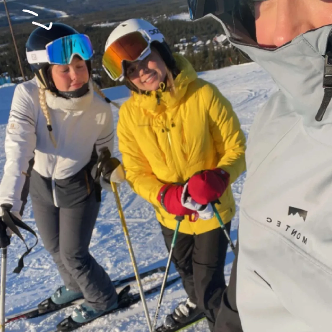 Skidglasögon / goggles  Salomon  - 91