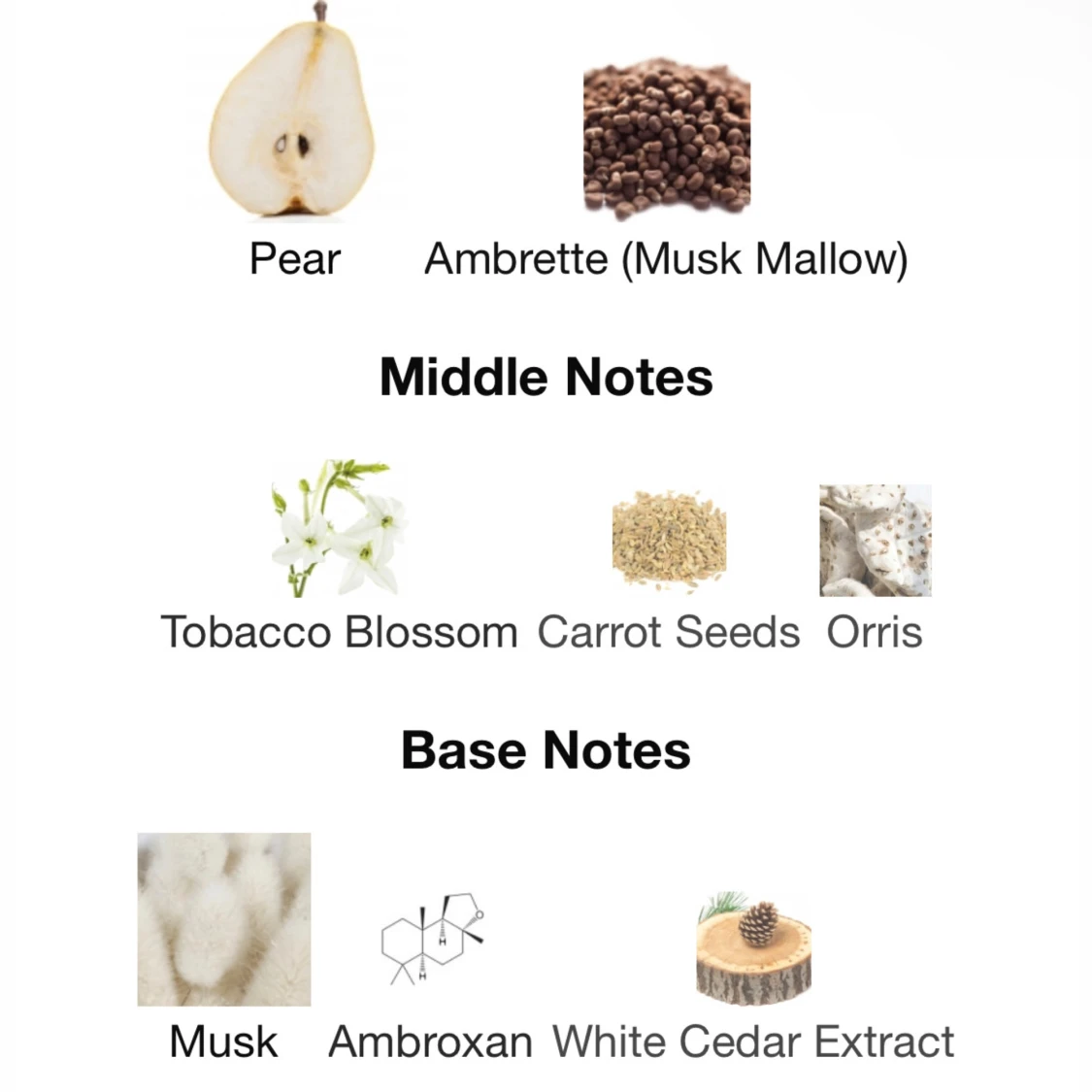 Radiant Nectar Clean - 92