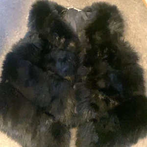 Pälsväst - Jätte fin pälsväst som är lite kortare 