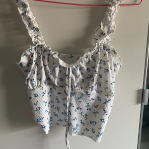 Linne - Linne med små blå blommor. Katt finns i hemmet. 