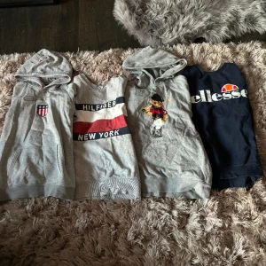 TRÖJOR - Näst intill oanvända, Gant: 170cm. Tommy himfiger: 164cm men lika stor som gant. Polo bear raplh lauren:170cm. Ellesse:164. 150kr för ellesse. 150kr var för gant och tommy hilfiger. 250 för polo bear.