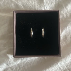 Silver örhängen  - Silverörhängen från Edblad. Säljer även likadana i guld💕