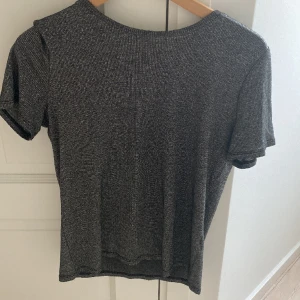 Kortärmad tröja - En jättecool silver glittrig tröja från Zara. Stl L men passar Xs till S!!