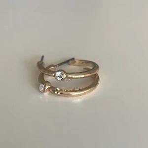 Örhängen  - Ett år guldiga örhängen 