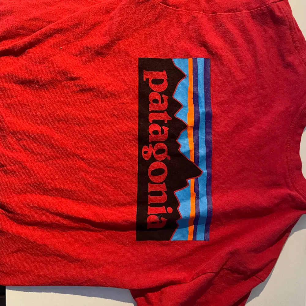 Fin patagonia tshirt i bomull . T-shirts.