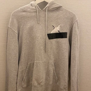 Grå hoodie  - Jätte fin grå hoodie från Axel arigato🩵 Passar både s och M