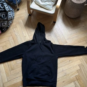Carhartt hoodie - Har haft den cirka 2 månader jätte bra skick