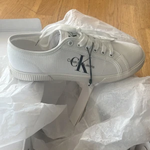 Vita Sneakers - Helt nya Calvin Klein sneakers med prislapp.