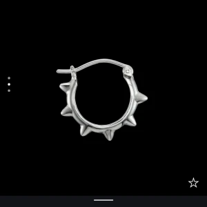 Maria Nilsdotter örhänge  - Nypris 1795kr   