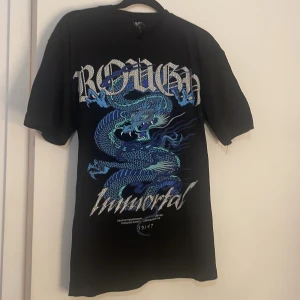 Svart oversized t shirt med blå drake och silver text - Säljer då den inte kommer till användning🤍  Nästan aldrig använd!   Svart tröja med en blå drake på, silvrig text i små diamanter över och under draken. Svart baksida på tröjan