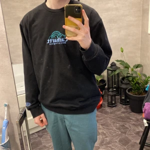 Carhartt tröja - Säljer min carhartt tröja eftersom jag inte använder den längre. Väl använd men knappt något slitage