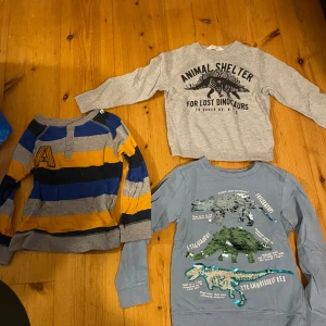 Tröjor - Bra skick priset gäller alla 3