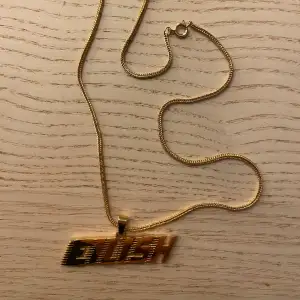 Billie Eilish racer logo halsband, köptes från ace jewelry 2019 tror jag. Sterling silver. Mycket bra skick, oanvänt. 
