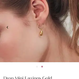 Säljer mina helt oanvända örhängen från Edblad i guld som är skitsnygga! Köpta för 350 kr och säljer för 200 kr!❤️❤️
