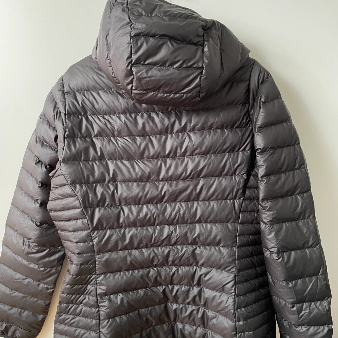 Dunjacka, Patagonia  - 91