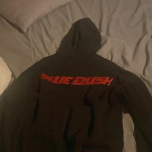 Billie eilish hoodie - Säljer en billie eilish hoodie pågrund av att den inte längre är min stil den är väl använd men jätte bra skick inga skador eller något sådant, nypris är ungefär 400 kronor