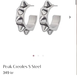Peak creoles s silver örhängen - Silver Edblad örhängen, super snygga, säljer för jag fick dom i julklapp o har redan ett par likadana. Aldrig andvända!❤️‍🔥❤️‍🔥kan posta o mötas upp i Stockholm.