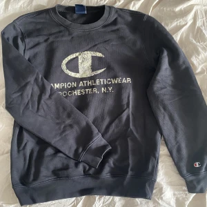 Champion Sweater - Fin Champion sweater. Lite vintage aktig. Tror det är en herrmodel med jag har själv använt den. Hör av dig vid frågor eller om du vill ha bättre bilder🌸💓