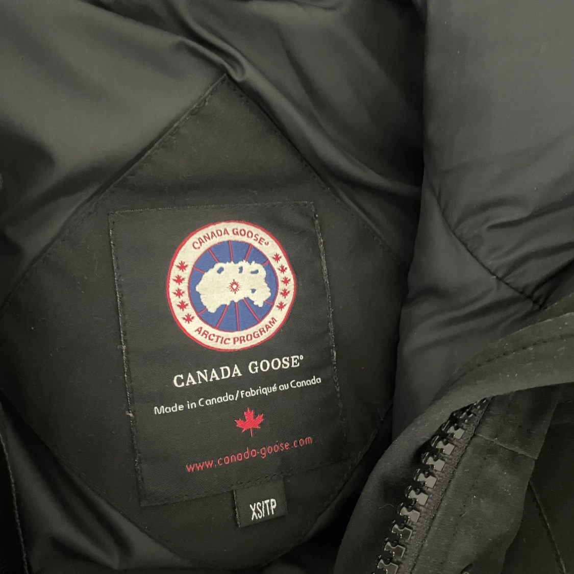 Canada goose XS - 91