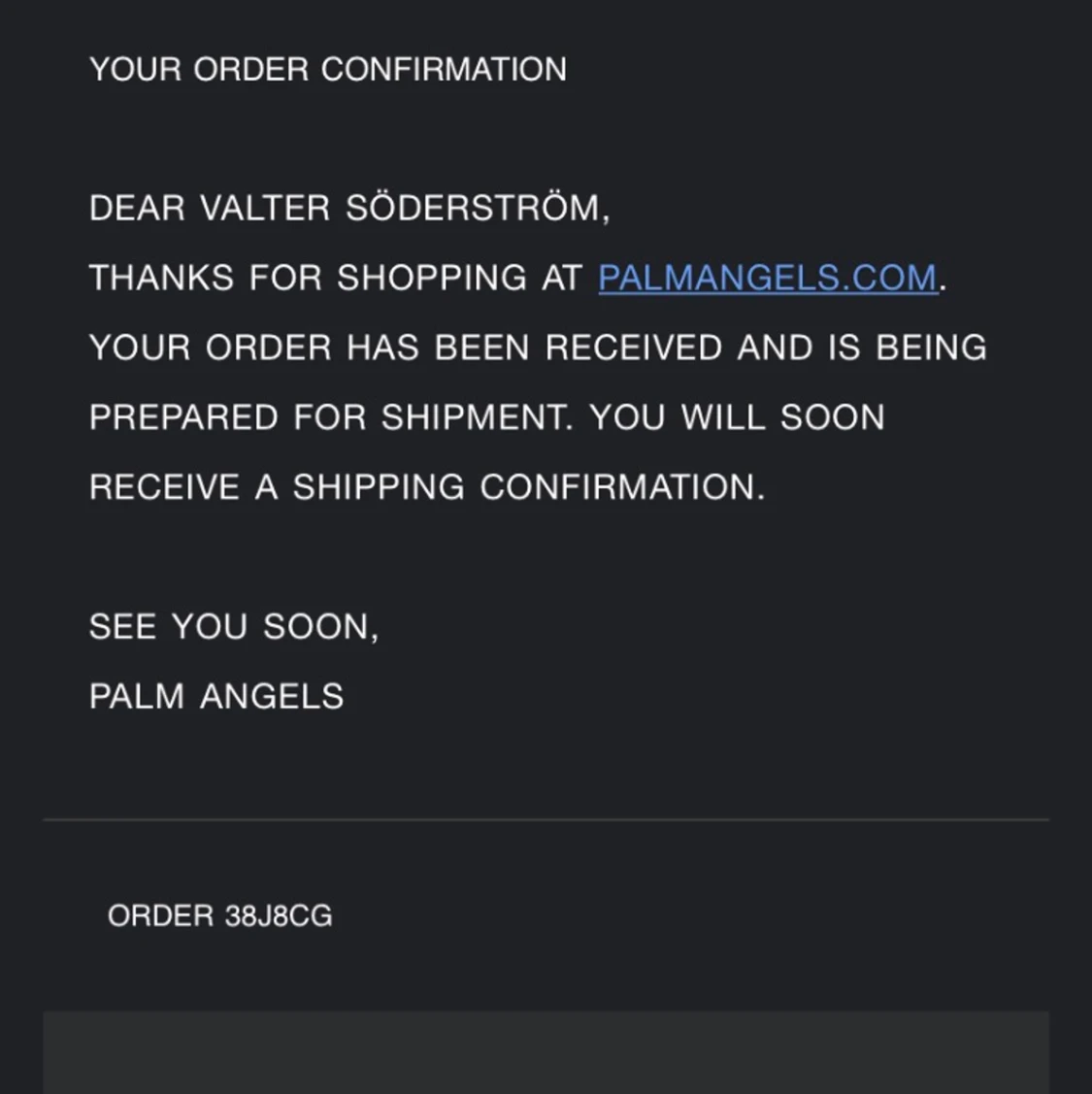 Palm angels byxor  - 91