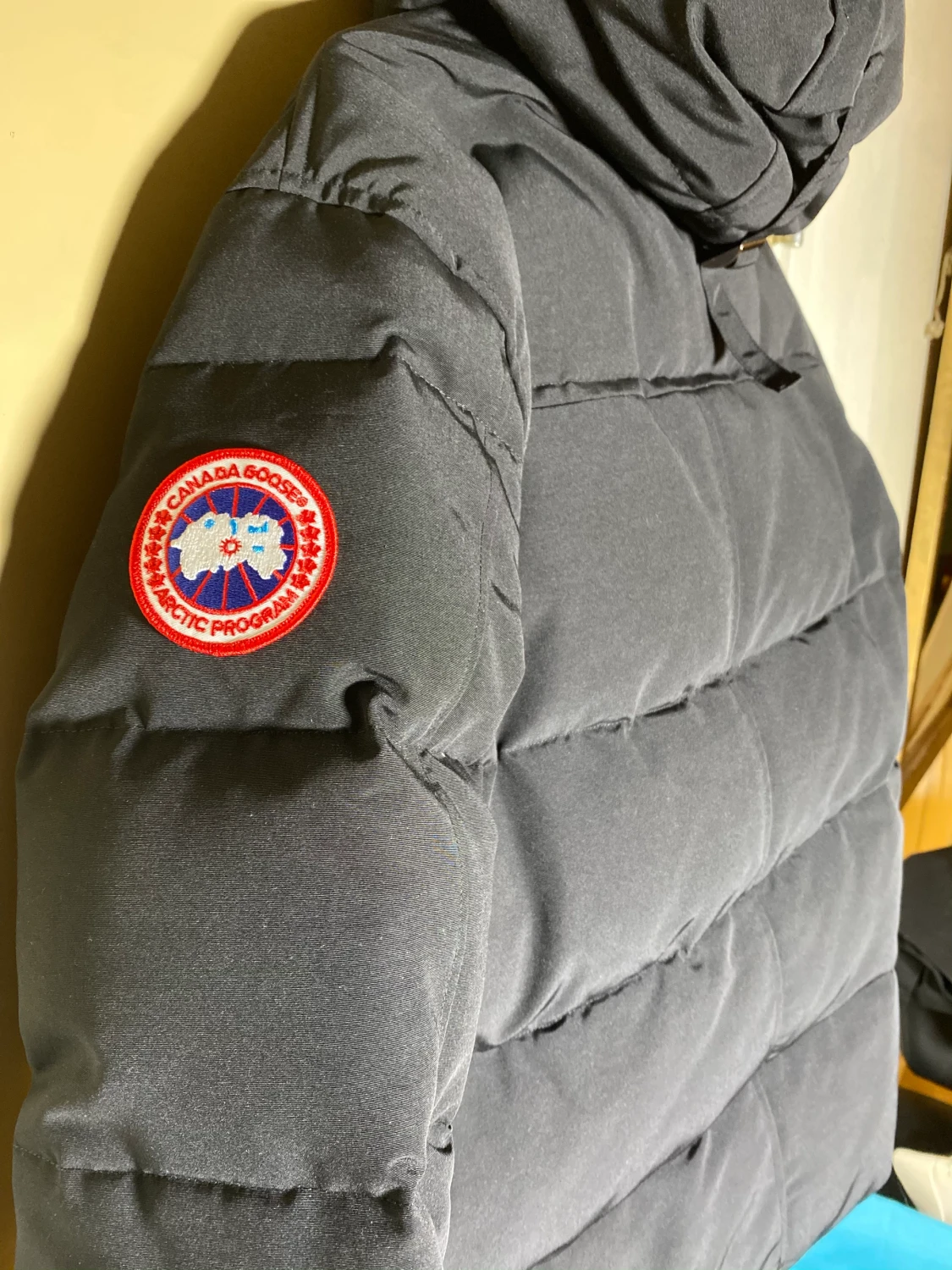 Canada gosse Jacka
