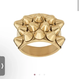 Edblad ring - Säljer denna populära ring från Edblad❤️❤️