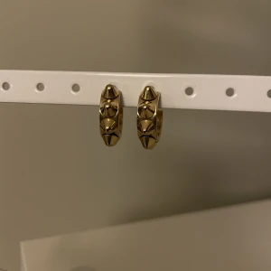 Edblad örhängen  - Säljer mina guldiga nit örhängen från Edblad, sparsamt använda och inga stora tecken på användning. Ett par nya kostar 350kr men jag säljer de för 185kr +frakt 