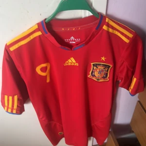 Signerad Spanien tröja  - Äkta signerad Fernando Torres tröja 