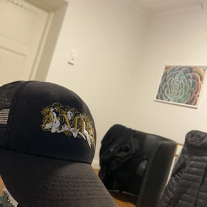 Golden edition Amiri keps - Amiri keps golden naked girls) rätt använd, lite sol blekt men har fortfarande kvar allt värdefullt, Inge fel på den och den sitter som smex, original pris 4500kr.        Kan gå med på att byta mot en vara/plagg runt samma pris😃✌🏻🎭