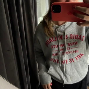 Zadig Voltarie Hoodie - Grå Zadig Voltarie Hoodie, andvänd max 5 ggr, så i väldigt bra skick!