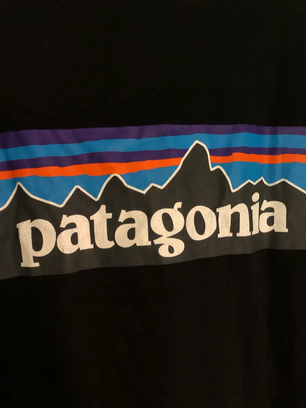 Sjukt fin T-shirt ifrån Patagonia, sitter oversize på mig som vanligtvis är stl S/M🤍. T-shirts.