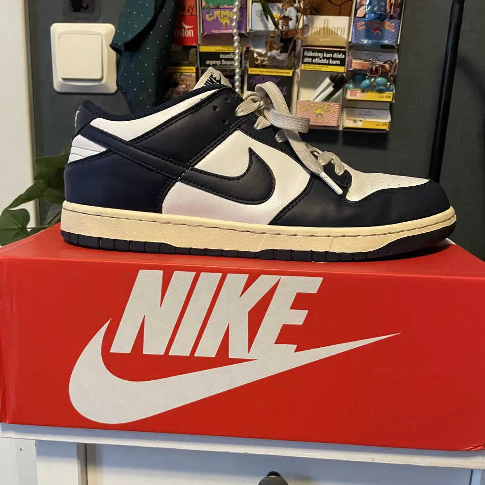 Slightly used dunks, good shape. Price can be discussed . Skor.