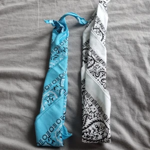 2 bandana - I gott skick