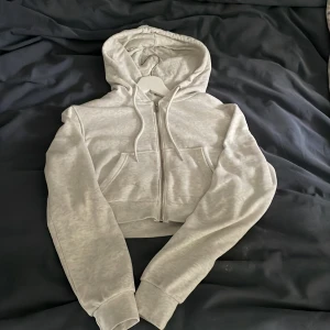 H&M hoodie  - Säljer en kort grå zip hoodie från H&M. Använd 1-2 gånger så i toppen skick. Har fickor och snören. 