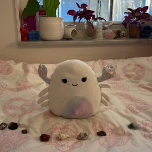 Squishmallow  - En fin squishmallow 🫶🏻