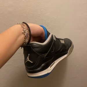 Jordan 4 - Intressekoll på mina Jordan 4 storlek 39/38 nypris 4500