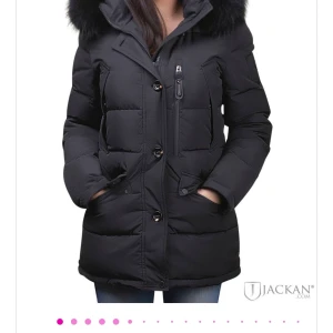 Hollies (Wilma) jacka storlek 40 - Hejsan, Jag säljer denna superfina vinterjacka från Hollies i storlek 40, det är äkta päls på kragen. Jackan är i lite längre modell och slutar precis under rumpan.  Nypris: 4500kr