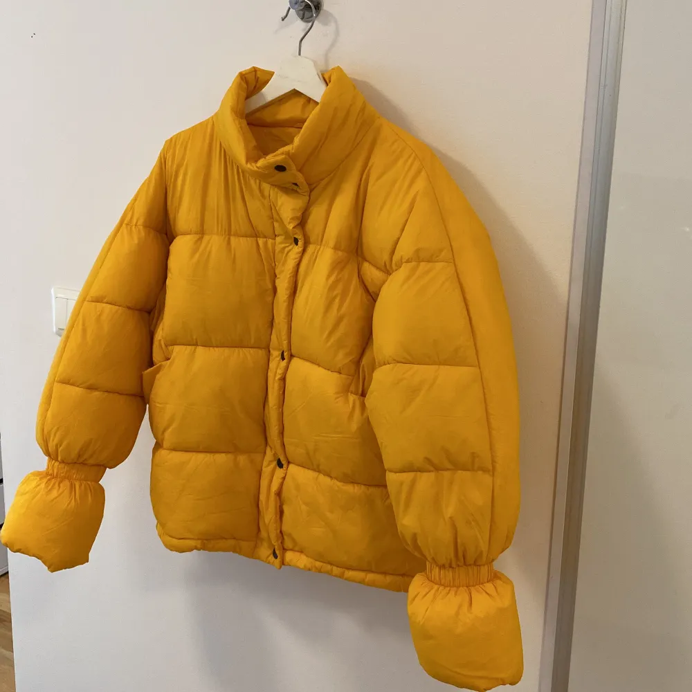 Puffer jacket. Used 2-3 times. Original price I paid for it was 499. Jackor.
