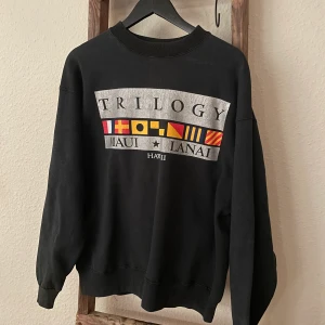 sweatshirt - Snygg crewneck, köpt secondhand men fint skick