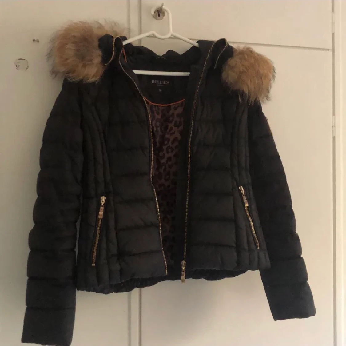hollies jacka