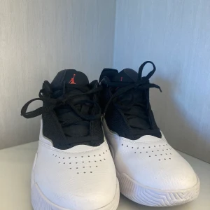 Stay loyal jordans - Köpte i juni men använde bara 3 gånger och dom står bara